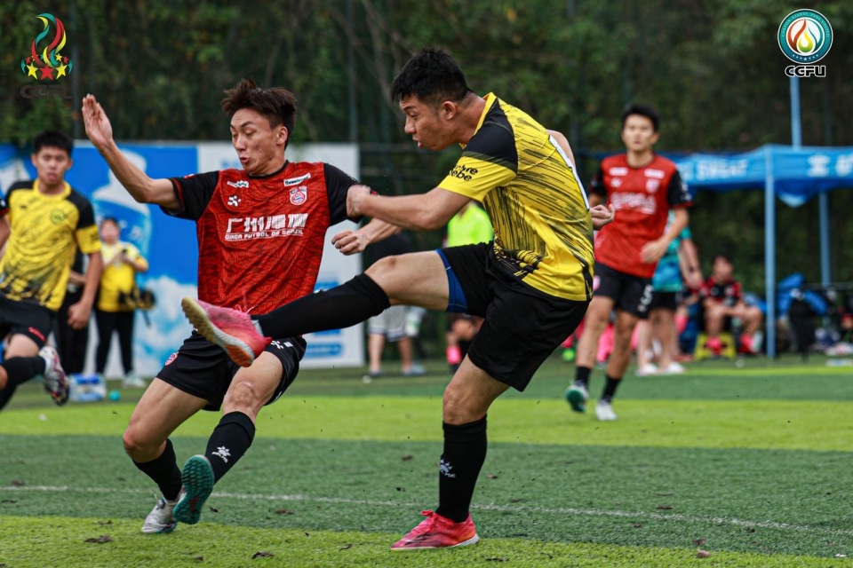 bt, 律师事务所 bt, 律师事务所