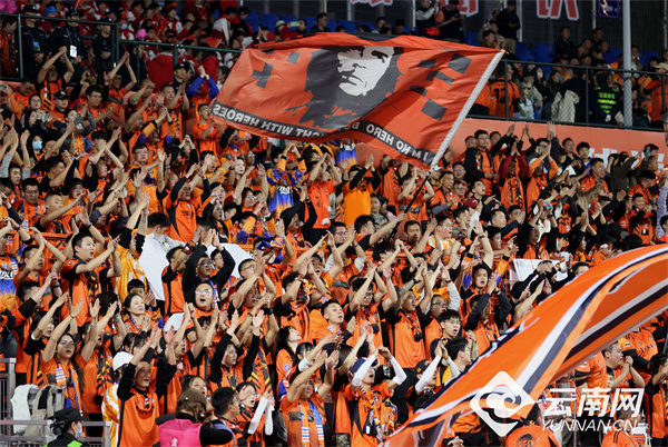 全省体育及, OHX, yYlzd